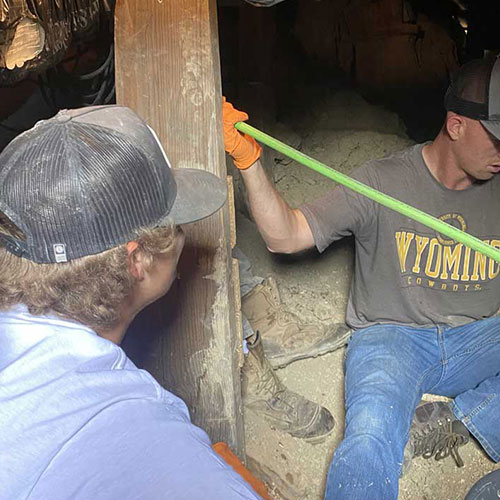 Workers