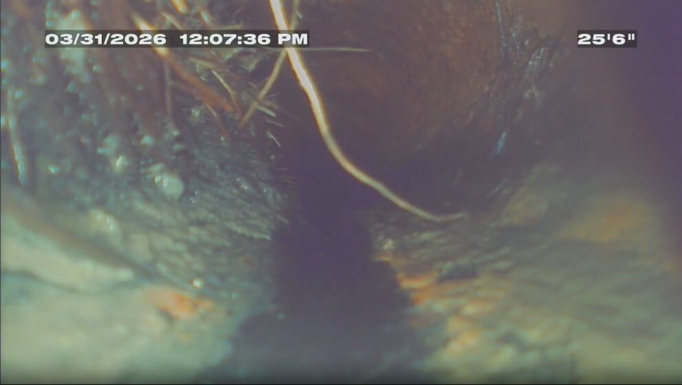 Cast Iron Before Liner (root Intrusion, Scaling, Trench Rot) Cast Iron Before Liner (root Intrusion, Scaling, Trench Rot)